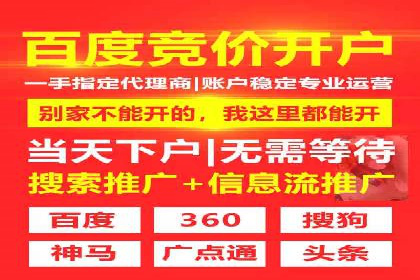 百度优化推广案例：打造行业领先品牌